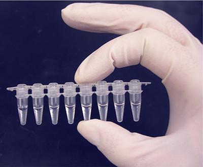 PCR tubes
