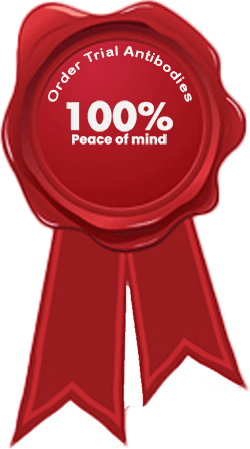 Stamp seal
